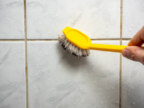Best Post-Remediation Services in Everman, TX