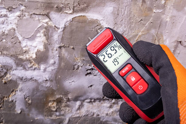 Best Basement Mold Remediation in Everman, TX