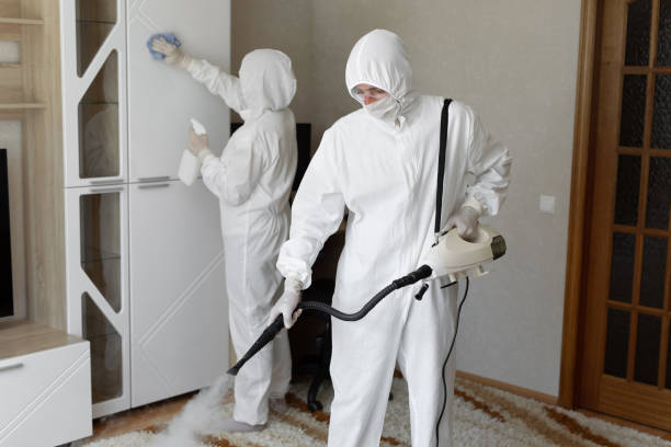 Best Residential Mold Remediation in Everman, TX