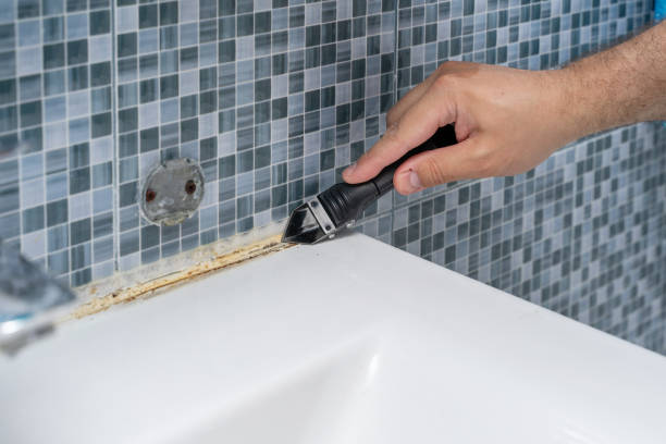 Best Bathroom Mold Remediation in Everman, TX